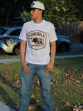 Canchola Longhorn-bull