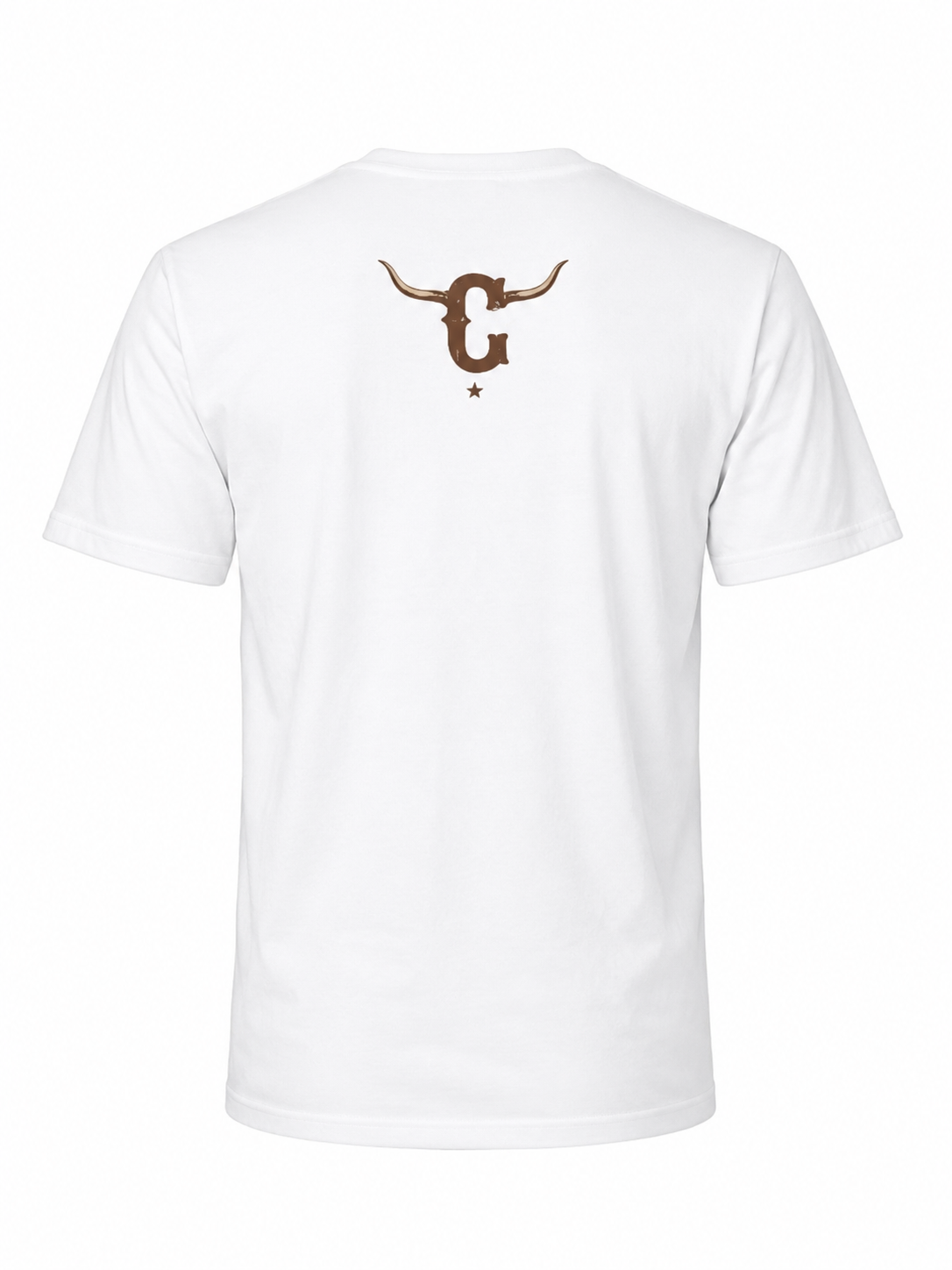 Canchola Longhorn-bull